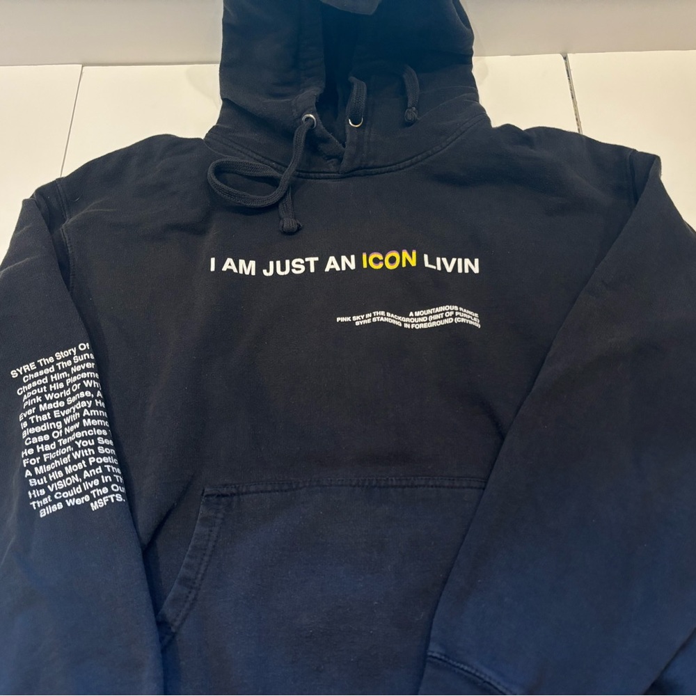 Jaden Smith × Msftsrep MSFTS Jaden Smith SYRE Icon Hoodie - LARGE - Picture 6 of 8